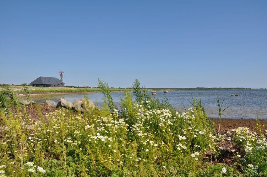 Pensjonat Harbor House Lomala Zewnętrze zdjęcie