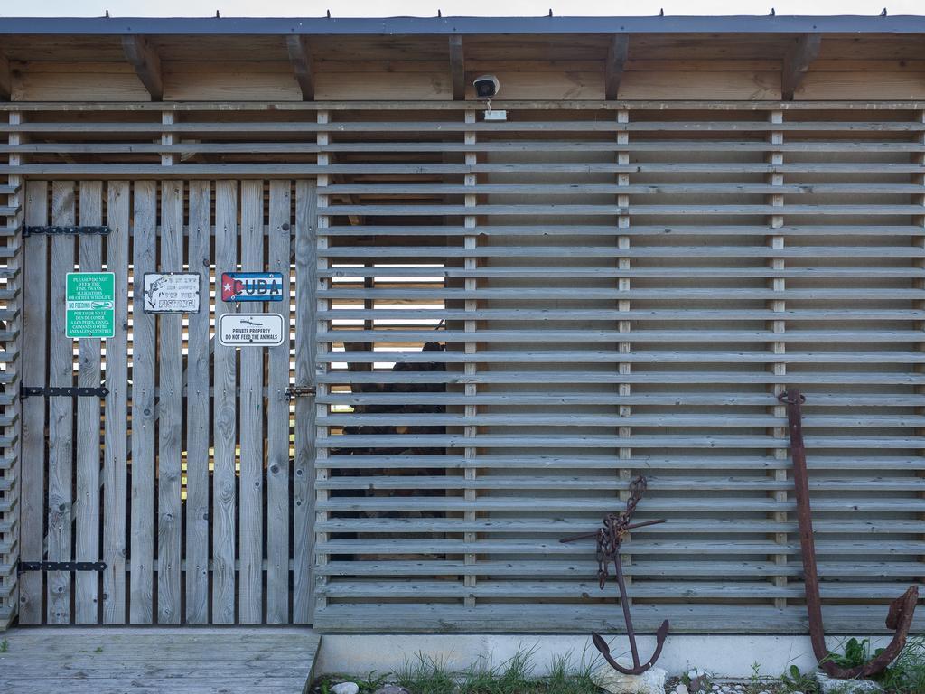 Pensjonat Harbor House Lomala Zewnętrze zdjęcie